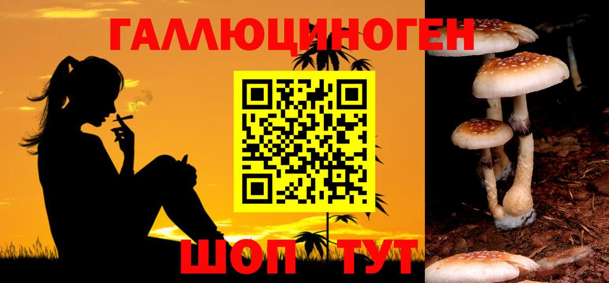 Псилоцибиновые грибы Psilocybine cubensis  Вход с VPN  Ликино-Дулёво 